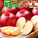 【ふるさと納税】【レビューキャンペーン】【26年5月クール便発送】りんご 贈答用 葉取らず ふじ 約5kg(有袋栽培・CA貯蔵)EMりんご