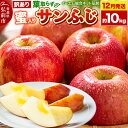 1位! 口コミ数「260件」評価「3.76」【レビューキャンペーン】【25年12月発送】りんご【訳あり】葉取らず サンふじ 約10kg 糖度 13度以上【蜜入り】EMりんご