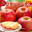 【ふるさと納税】【レビューキャンペーン】【26年2月発送】りんご【訳あり】葉取らず サンふじ 約10kg 糖度 13度以上 EMりんご