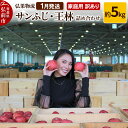 【ふるさと納税】【26年1月発送】りんご 家庭用 訳あり サンふじ・王林 詰め合わせ 約5kg