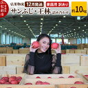 【ふるさと納税】【レビューキャンペーン】【25年12月発送】りんご 家庭用 訳あり サンふじ・王林 詰め合わせ 約10kg