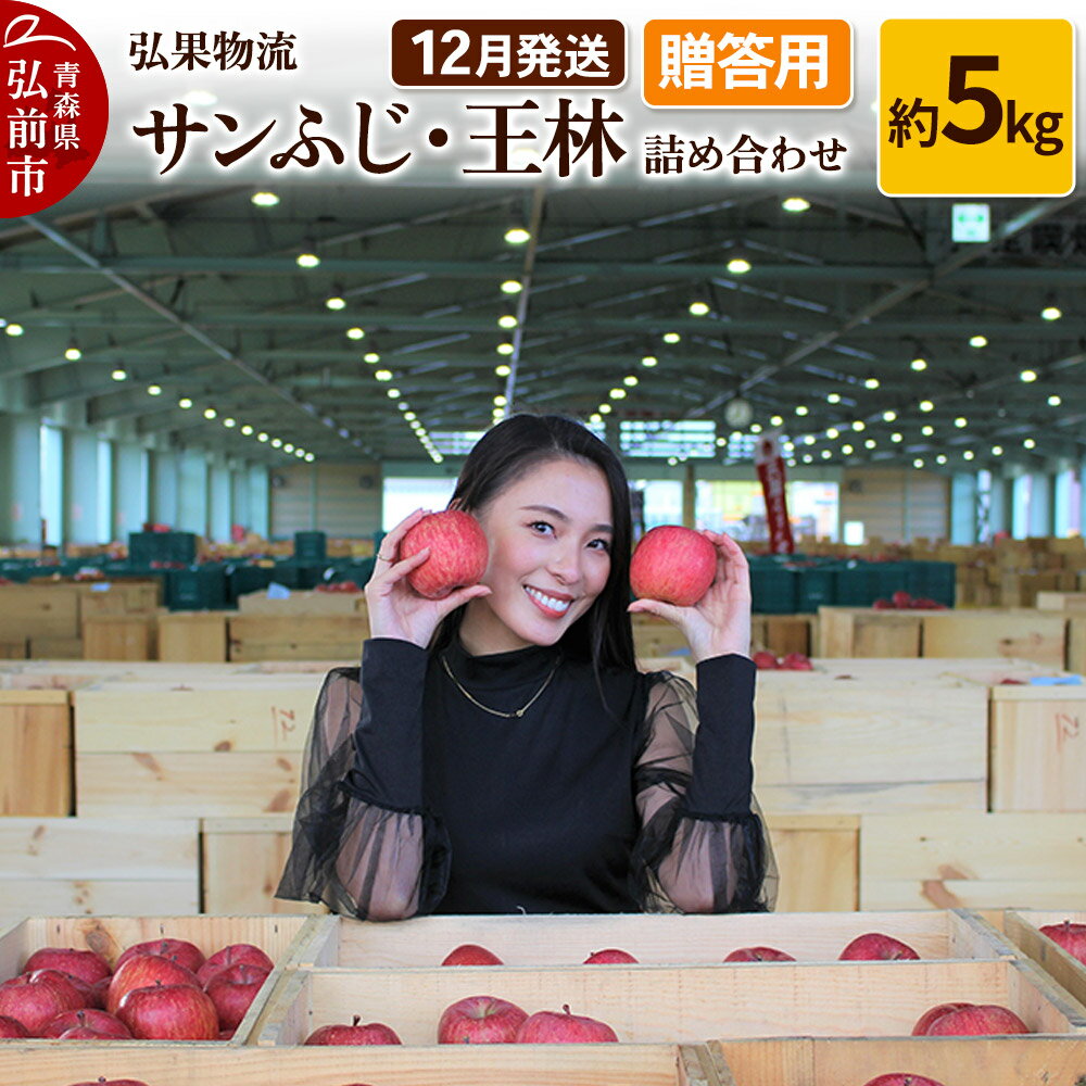 りんご[12月発送]贈答用 サンふじ・王林 詰め合わせ 約5kg