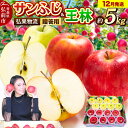 【ふるさと納税】 【25年12月発送】りんご 贈答用 サンふじ・王林 詰め合わせ 約5kg