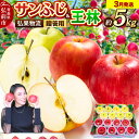 【ふるさと納税】 【26年3月発送】りんご 贈答用 サンふじ・王林 詰め合わせ 約5kg