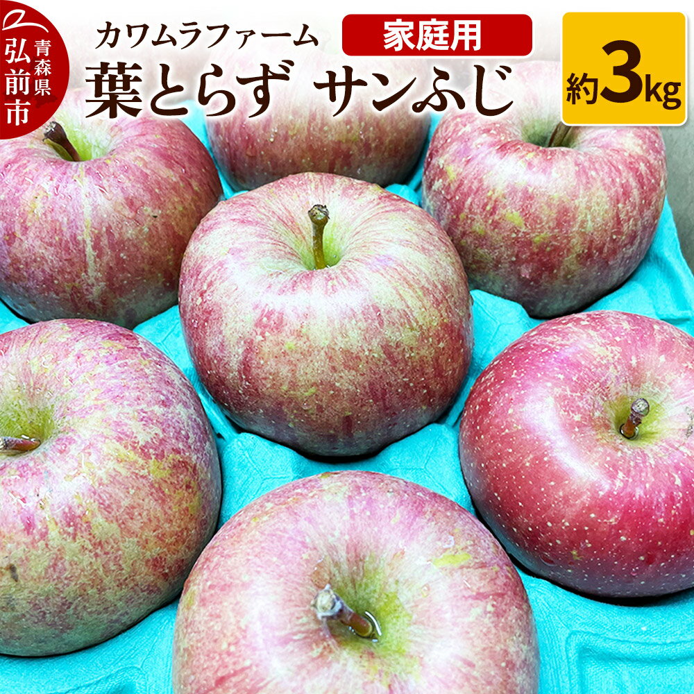 りんご[先行受付]葉とらず サンふじ 約3kg カワムラファーム 家庭用