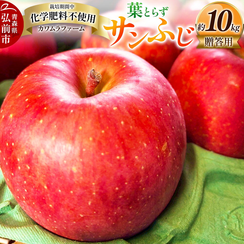 【ふるさと納税】りんご 葉とらず サンふじ 約10kg カワムラファーム 贈答用 青森 果物 フルーツ 林檎 リンゴ くだもの