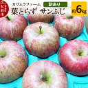 【ふるさと納税】りんご【先行受付】葉とらず サンふじ 約6kg カワムラファーム 訳あり