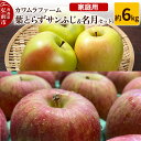 【ふるさと納税】りんご【先行受付】葉とらず サンふじ & 名月 セット 約6kg カワムラファーム 家庭用