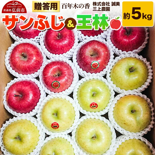 【ふるさと納税】りんご【先行受付】贈答用 百年木の香 三上農園 サンふじ&王林 約5kg 【ふるさと納税】りんご【先行受付】贈答用 百年木の香 三上農園 サンふじ&王林 約5kg