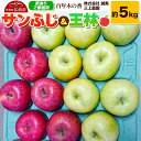 【ふるさと納税】【レビューキャンペーン】【25年12月~発送】りんご 【訳あり】家庭用 百年木の香 三上農園 サンふじ & 王林 約5kg【先行受付】 青森 果物 フルーツ 林檎 リンゴ くだもの 不揃い 規格外 予約