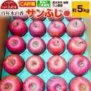 【ふるさと納税】【26年4月発送】りんご 【CA貯蔵】【訳あり】家庭用 百年木の香 三上農園 サンふじ 約5kg (14〜20玉程度)【先行受付】 青森 果物 ...