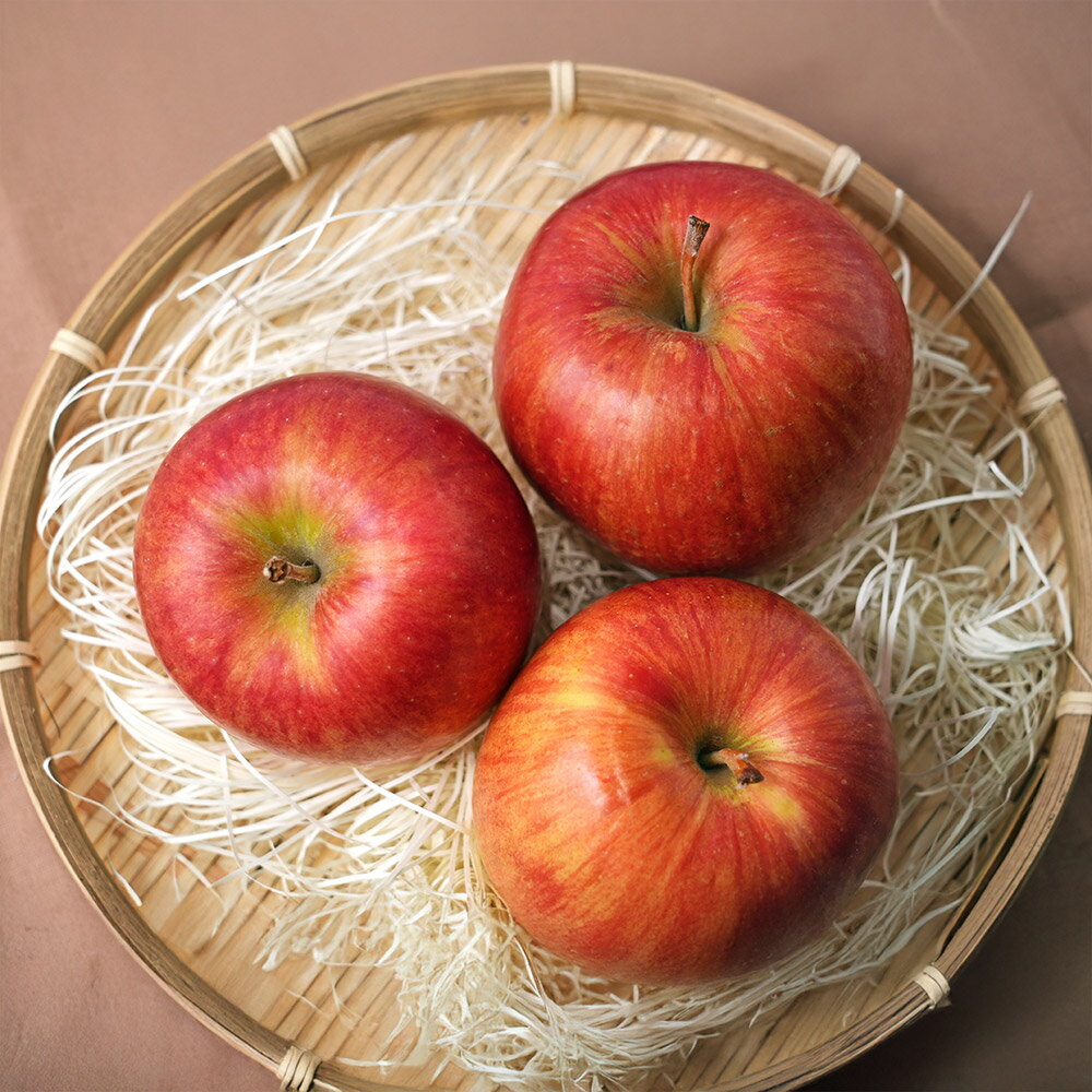 【ふるさと納税】りんご 【先行受付】平均糖度12度以上！ サンつがる 約5kg おもてなし用 クール便【選べる発送月】