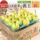 【ふるさと納税】りんご 【先行受付】平均糖度12度以上! 黄王 約10kg 訳あり クール便【選べる発送月】