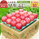 【ふるさと納税】りんご 【先行受付】平均糖度12度以上! 早生ふじ 約10kg 訳あり【選べる発送月】