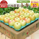 【ふるさと納税】りんご 【先行受付】平均糖度12度以上! トキ 約10kg 訳あり【選べる発送月】