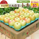 【ふるさと納税】りんご 【先行受付】平均糖度12度以上! トキ 約10kg おもてなし用【選べる発送月】
