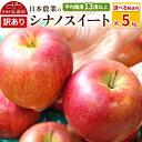 【ふるさと納税】りんご 【先行受付】平均糖度13度以上! シナノスイート 約5kg 訳あり【選べる発送月】