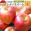 【ふるさと納税】りんご 【先行受付】平均糖度13度以上! シナノスイート 約5kg おもてなし用【選べる発送月】