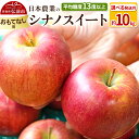 【ふるさと納税】りんご 【先行受付】平均糖度13度以上! シナノスイート 約10kg おもてなし用【選べる発送月】