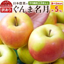 【ふるさと納税】りんご 【先行受付】平均糖度13度以上! ぐんま名月 約5kg 訳あり【選べる発送月】