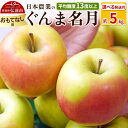 【ふるさと納税】りんご 【先行受付】平均糖度13度以上! ぐんま名月 約5kg おもてなし用【選べる発送月】