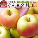 【ふるさと納税】りんご 【先行受付】平均糖度13度以上! ぐんま名月 約10kg 訳あり【選べる発送月】