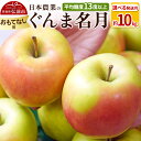 【ふるさと納税】りんご 【先行受付】平均糖度13度以上! ぐんま名月 約10kg おもてなし用【選べる発送月】