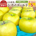 【ふるさと納税】りんご 【先行受付】平均糖度13度以上! シナノゴールド 約5kg 訳あり【選べる発送月】