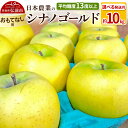 【ふるさと納税】りんご 【先行受付】平均糖度13度以上! シナノゴールド 約10kg おもてなし用【選べる発送月】