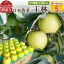 【ふるさと納税】りんご 【先行受付】平均糖度13度以上! 王林 約5kg 訳あり【選べる発送月】