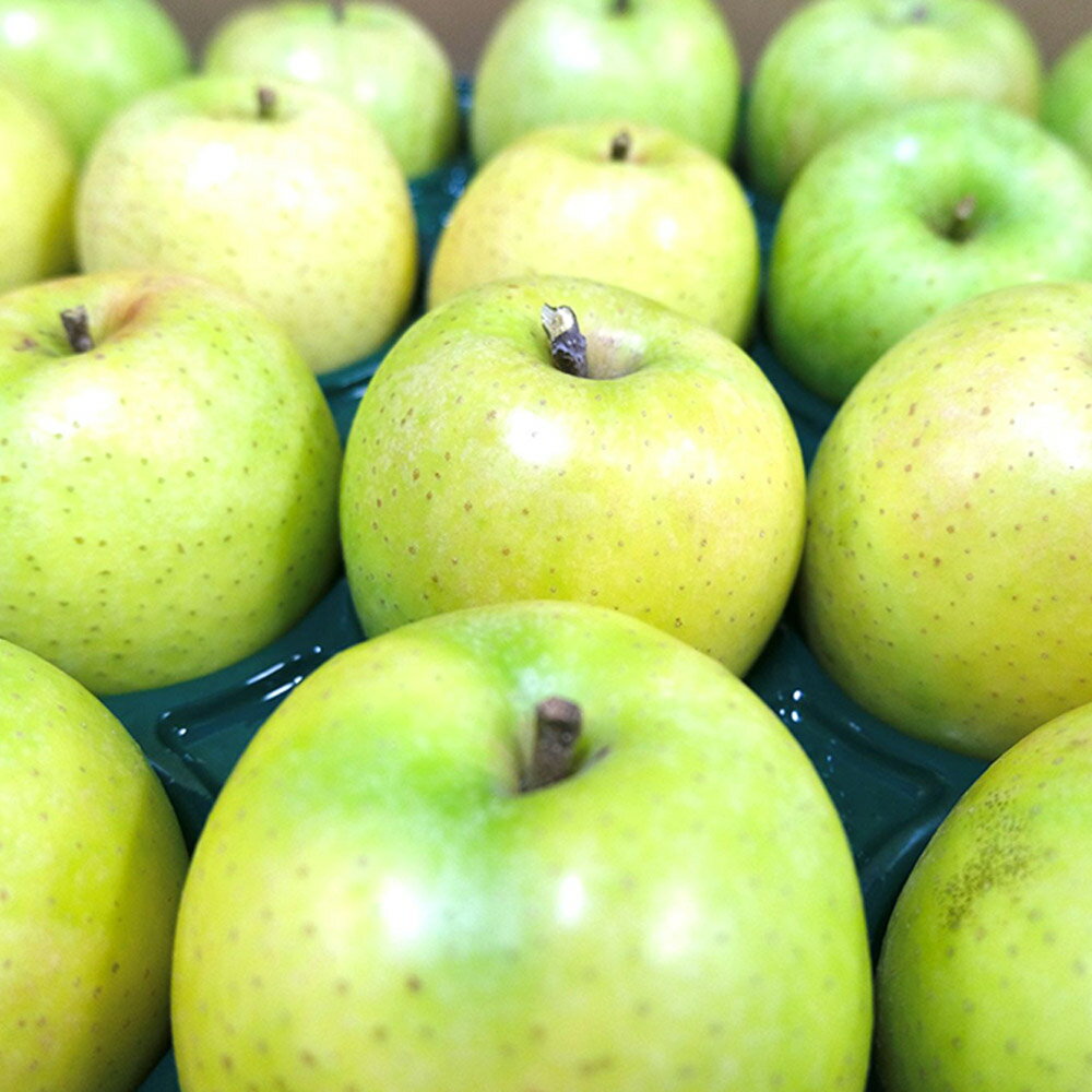 【ふるさと納税】 りんご 【先行受付】平均糖度13度以上！ 王林 約5kg 訳あり【選べる発送月】青森 果物 フルーツ 林檎 リンゴ くだもの 不揃い 規格外 予約