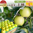 【ふるさと納税】りんご 【先行受付】平均糖度13度以上! 王林 約5kg おもてなし用【選べる発送月】