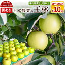 【ふるさと納税】りんご 【先行受付】平均糖度13度以上! 王林 約10kg 訳あり【選べる発送月】