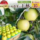 【ふるさと納税】りんご 【先行受付】平均糖度13度以上! 王林 約10kg おもてなし用【選べる発送月】