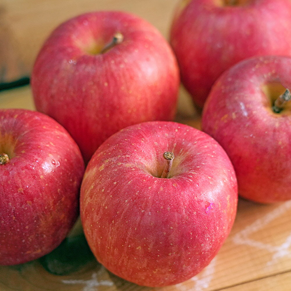 【ふるさと納税】りんご 平均糖度13度以上！ 有袋ふじ 約10kg おもてなし用【選べる発送月】 CA貯蔵 クール便 青森 果物 フルーツ 林檎 リンゴ くだもの