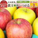 【ふるさと納税】りんご 【先行受付】平均糖度13度以上! 黄王×サンつがる 約3kg 訳あり【選べる発送月】