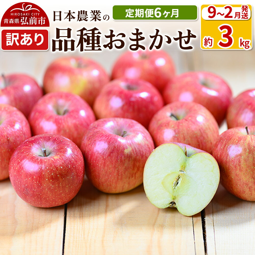 りんご [定期便6ヶ月][先行受付] 平均糖度12.5度以上! 訳あり品種おまかせ 約3kg [9月〜2月] 6回分