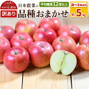 【ふるさと納税】りんご 【先行受付】 平均糖度12度以上! 品種おまかせ 約5kg 訳あり【選べる発送月】