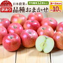 【ふるさと納税】りんご 【先行受付】 平均糖度12度以上! 品種おまかせ 約10kg 訳あり【選べる発送月】