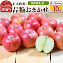 【ふるさと納税】りんご 【定期便3ヶ月】【先行受付】 平均糖度12.5度以上! 訳あり品種おまかせ 約10kg 【選べる発送月9月/12月】3回分
