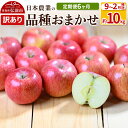 【ふるさと納税】【25年9月発送】りんご 【定期便6ヶ月】平均糖度12.5度以上! 訳あり品種おまかせ 約10kg 【9月~2月】 6回分【先行受付】