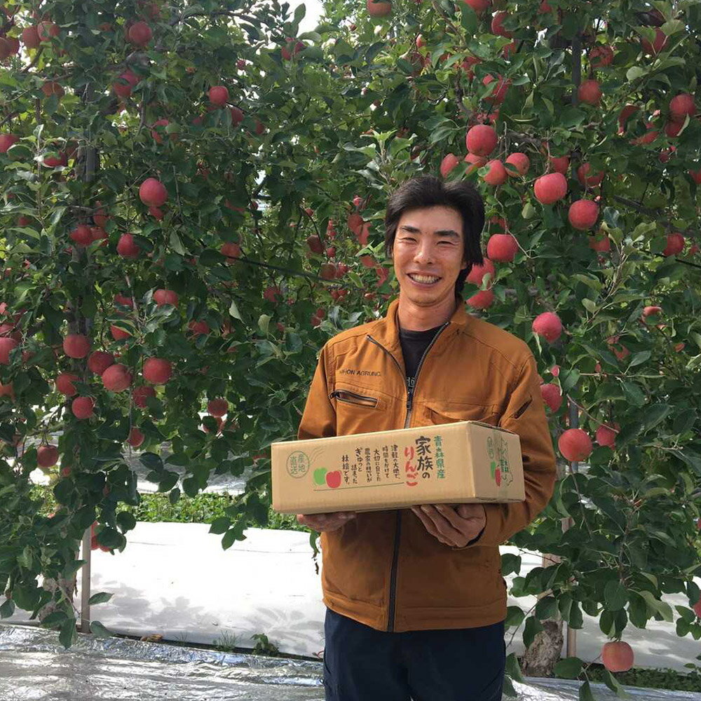 【ふるさと納税】りんご 【先行受付】平均糖度12度以上！ 葉とらずサンつがる 約10kg おもてなし用【選べる発送月】