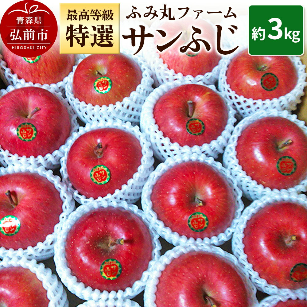 【ふるさと納税】【25年12月発送】りんご ふみ丸ファーム 最高等級「特選」 サンふじ 約3kg 青森 弘前 林檎 リンゴ 赤色