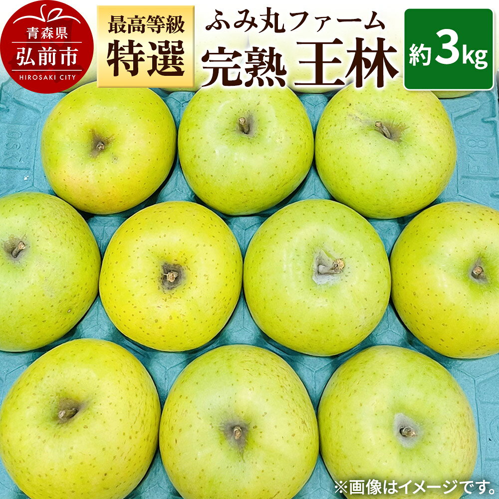 [25年12月発送]りんご ふみ丸ファーム 最高等級「特選」完熟 王林 約3kg 青森 弘前 林檎 リンゴ 黄色