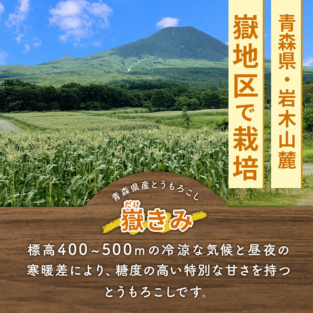 【ふるさと納税】嶽きみ真空パック【選べる本数×サイズ】しらかみラボ