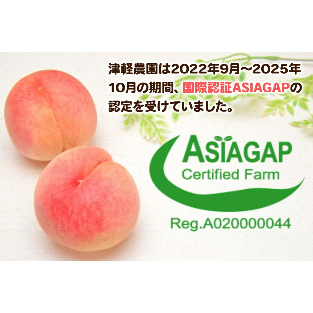 【ふるさと納税】【26年8月発送】もも【2026年産 あふれる果汁 まどか】家庭用 約5kg 14〜22玉程度 津軽農園 採れたて 農家直送