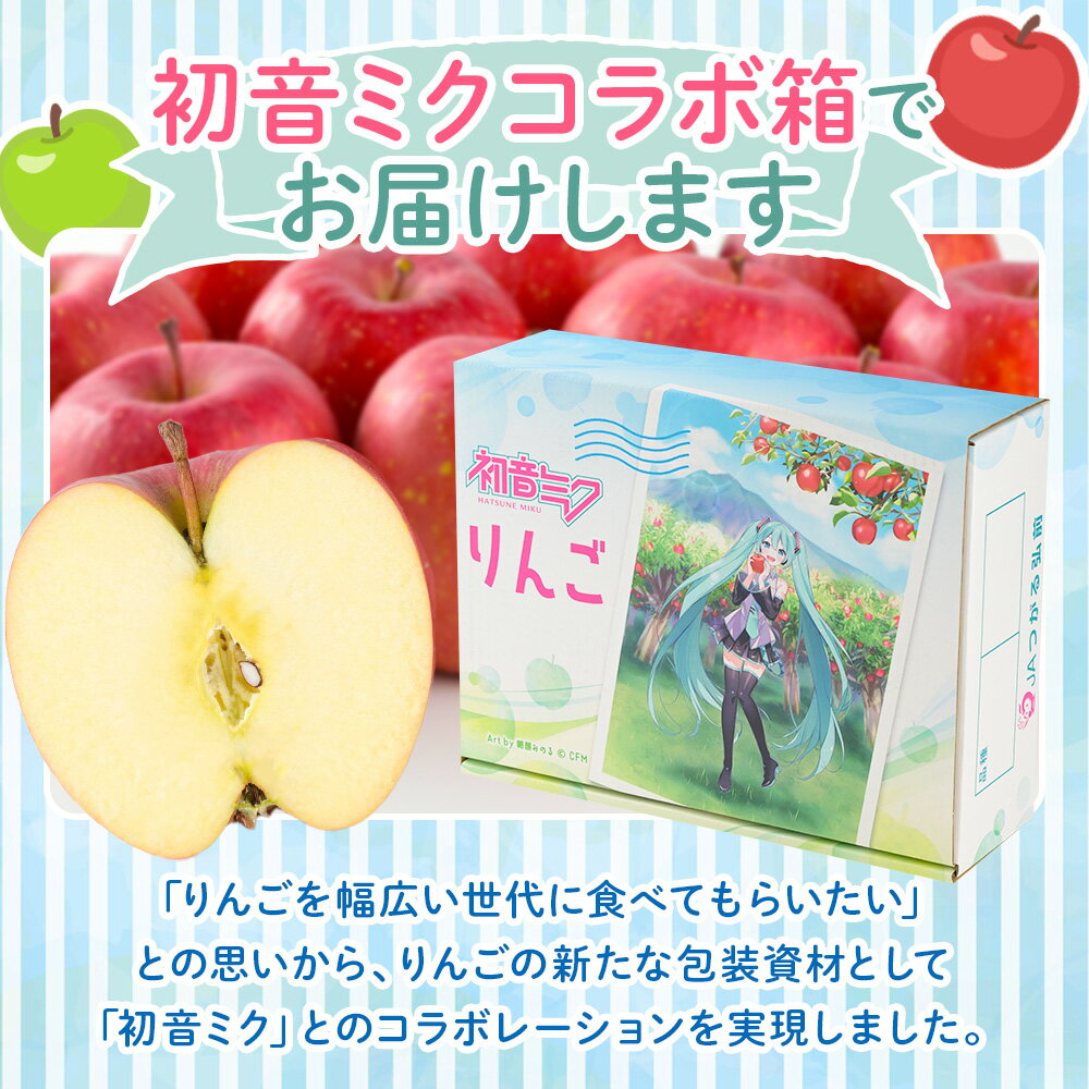 【ふるさと納税】【26年1月発送】りんご【数量限定】 贈答用 サンふじ 約3kg 初音ミク オリジナルデザイン 化粧箱入り