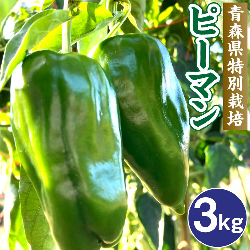 【ふるさと納税】【青森県特別栽培】ピーマン 3kg ピクシー 野菜 旬 青森県 八戸市 東北 国産  ...