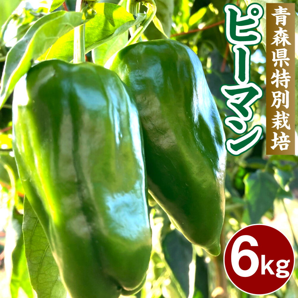 【ふるさと納税】【青森県特別栽培】ピーマン 6kg ピクシー 野菜 旬 青森県 八戸市 東北 国産  ...