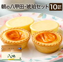 7位! 口コミ数「1件」評価「5」朝の八甲田・琥珀セット チーズケーキ 35g×5個 チーズタルト 40g×5個 計375g 伝説のチーズケーキ 新食感 熟成 チーズ 青森県･･･ 